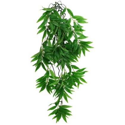 Komodo Bamboo Hanging Vine Terrarium Plant - Large - 1 count