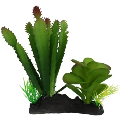 Komodo Succulent and Cactus Habitat Ornament - 1 count